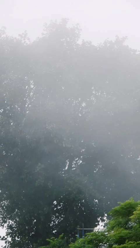Fast Moving Low Clouds &amp; Dense Mist During Windy Weather - 4k Vertical Footage Stock Footage 340293523