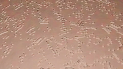 Fast moving microorganisms Stock Footage 97065294