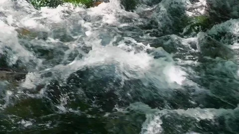 Fast-moving mountain river with a strong flow, creating white foamy rapids Stock Footage 242834522