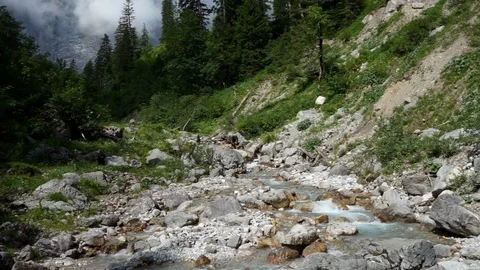 Fast moving mountain stream with pine trees Stock Footage 96062057