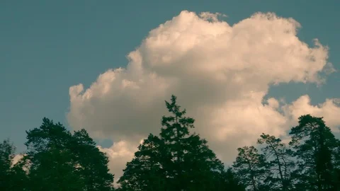 Fast moving panoramic view at beautiful landscape, sky, clouds and forest Vídeos de archivo 108583360