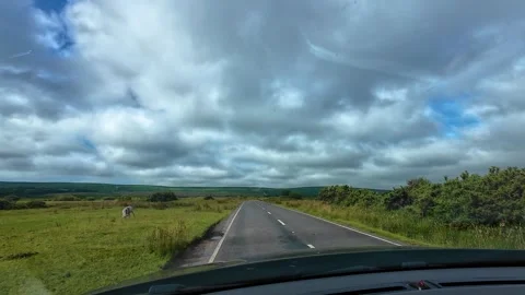 Fast Moving POV Along Straight Country Road with Trees and Lake on Open Stock Footage 313725246