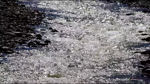 Fast Moving River Closeup Stock Footage 48272203