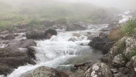 Fast moving river in elevit plateau from rize turkey Stock Footage 78727452