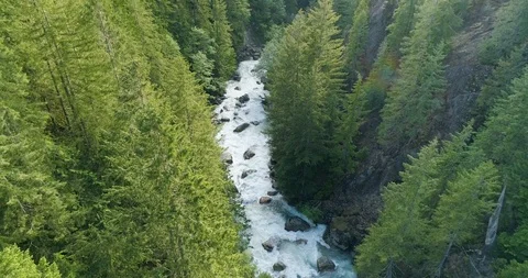 Fast Moving River Through Forest Canyon ... | Stock Video | Pond5