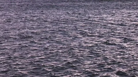 Fast-moving sea wave, at sunset. 4K Stock Footage 258660629