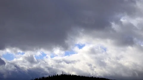 Fast moving storm clouds over pine forest Stock Footage 100184211