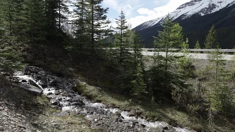Fast-moving stream flows through winter forest by road Alberta Canada Stock Footage 90848673