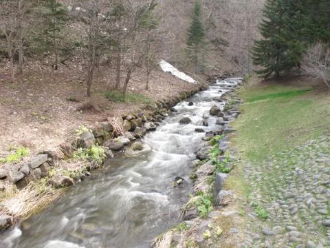 Fast moving stream Foto stock