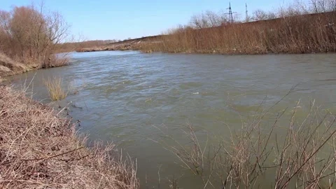 A fast-moving stream of the river in early spring Stock Footage 149983919