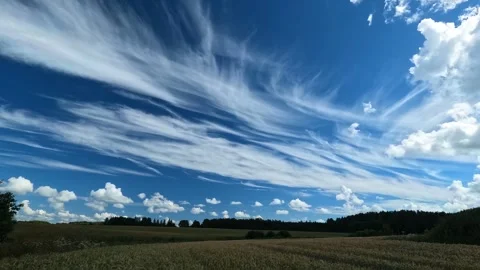 Fast moving summer sky clouds over golden crop field polarized Stock Footage 244155254