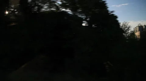Fast Moving train window in Switzerland Stock Footage 51663812