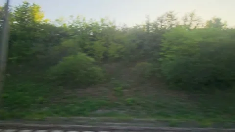 Fast moving train window view of green woodland and brush, heavily obstructed Stock Footage 335990183