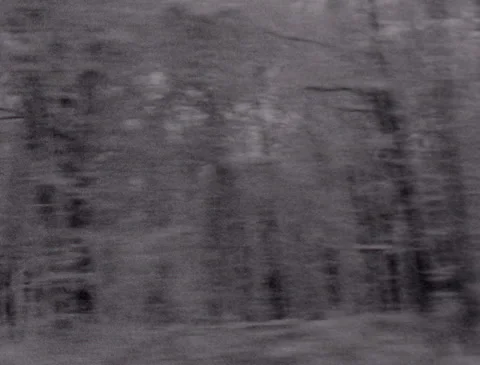 Fast moving trees, winter driving, vintage footage (Super 8) 動画素材 245311804