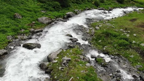 Fast moving view from the drone on the river Stock Footage 219509509