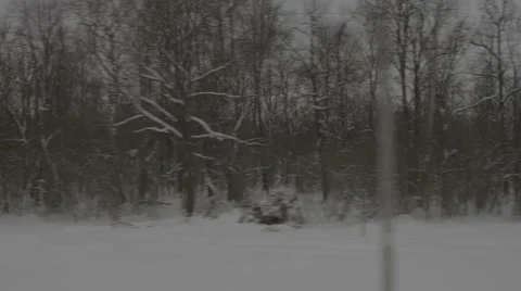 Fast-moving view on snow trees from train Video stock 67873415