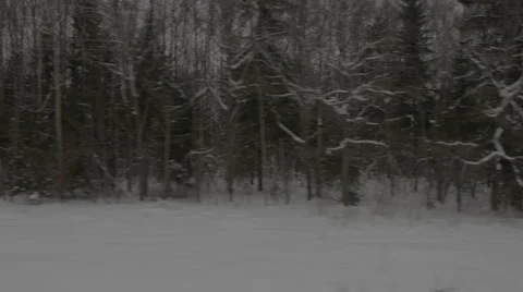 Fast-moving view on winter forest from train Stock Footage 67558038