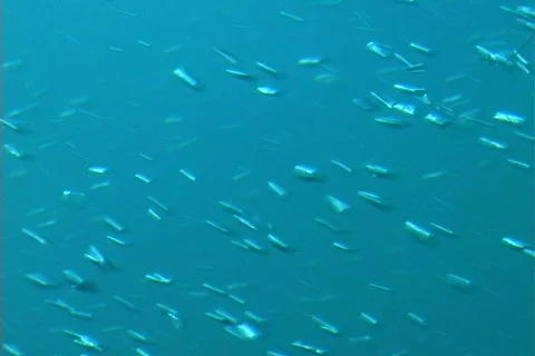 Fast moving water bubbles Stock Footage 281883