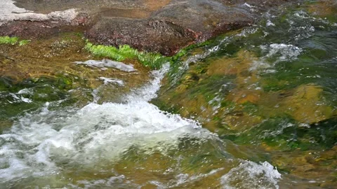 Fast Moving Water Flowing Around Rocks at Burleigh Falls Stock Footage 346785767