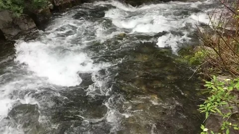Fast moving water in a small river, Provo Canyon Stock Footage 308424298