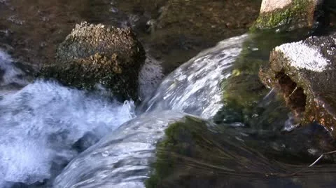 Fast Moving Water, Small Spring Fed Flowing Waterfall Video stock 10803758