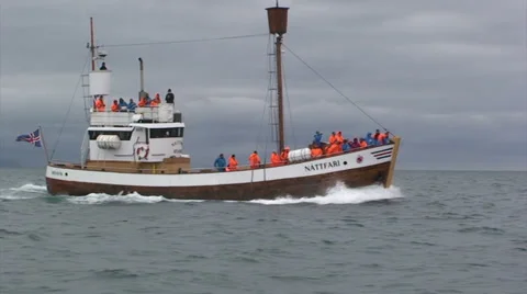 Fast moving whalewatching boat, slight zoom out Stock Footage 37319794