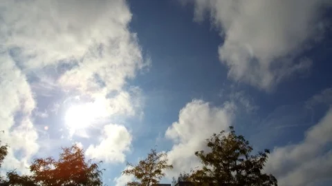 Fast Moving White Clouds Trees Beautiful Sunny Sky Street View Stock Footage 121197303
