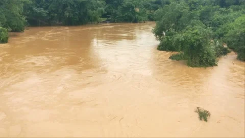 Fast Muddy River Current During Flash Flood Disaster Stock Footage 343774934