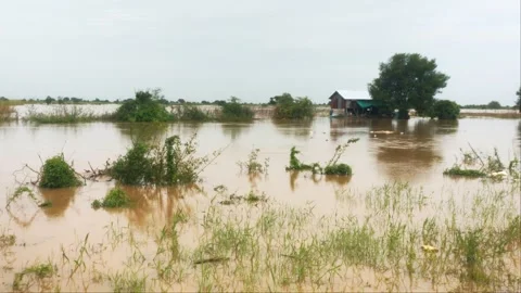 Fast Muddy River Currents Flowing Past Wooden Hut During Flood Stock Footage 344971212