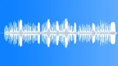 Fast Muted Military Bugle Reveille Call Stock Music