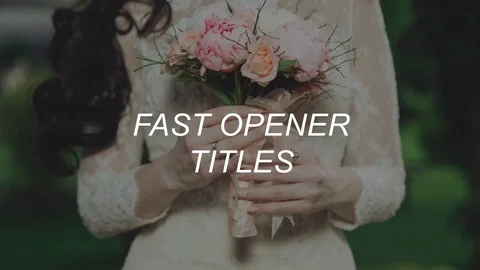 FAST OPENER TITLES After Effects stock