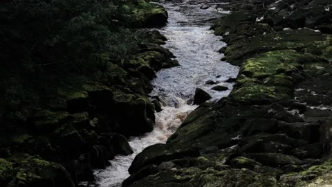 Fast Paced Churning Stream in Slow Motion Stock Footage