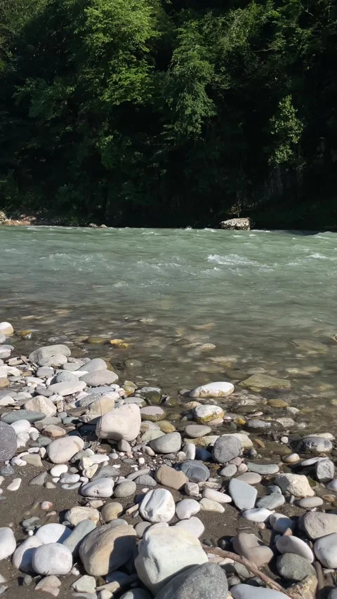 Fast pale turquoise river flows past smooth pebbles on a quiet forest shore.. Stock-Footage 341738878