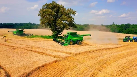 Fast Pan of Tree with Multiple John Deere Combines Harvesting Wheat 動画素材 91002616