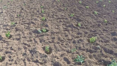 Fast pass over the ground Stock Footage 127603828