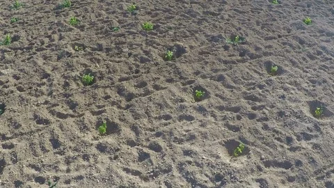 Fast pass over the ground Video stock 127604383