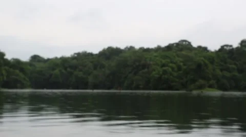 Fast Passing Water Level Shot of Tropical River Jungle Stock Footage 56137225