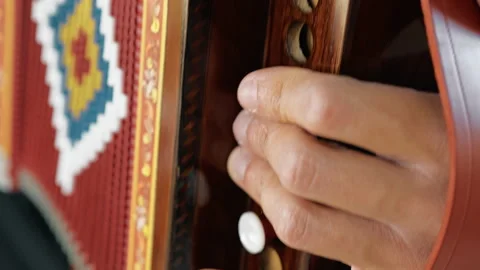 Fast Playing Of The Accordion Buttons Stock Footage 291196201