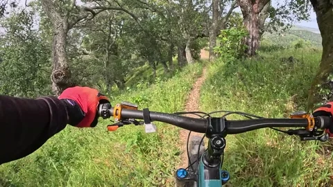 Fast POV Single-Track Trail Riding Through Dense Green Forest Vídeos de archivo 333099908
