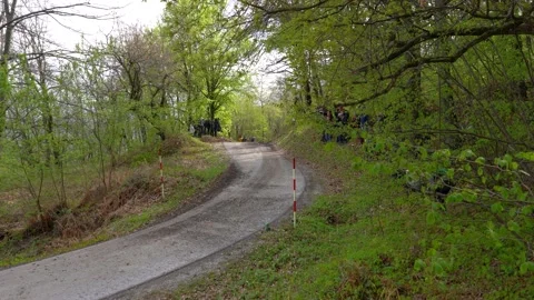 Fast rally car driving through the forest at high speed Stock Footage 202258779