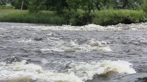 Fast rapids Stirling city Stock Footage 52094310