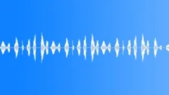 Fast Record Scratching 4 Sound Effect