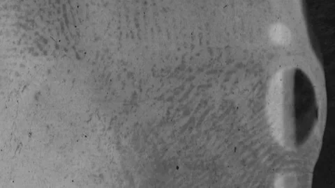 Fast Rewind Macro X-Ray Film Texture Background Loop 1 Видео 343417172