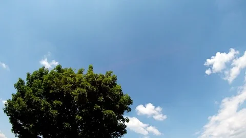 Fast ride Video stock 91220591