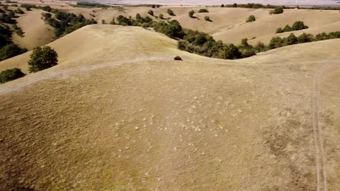 Fast riding buggy on a edge of high hills. Deliblato Sands Stock Footage 141065234