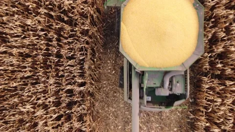 Fast rise over the combine Stock Footage 166587782
