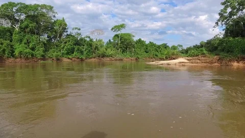 Fast on River and Jungle Stock Footage 73230235