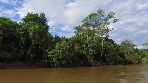 Fast on River and Jungle Stock Footage 73230420