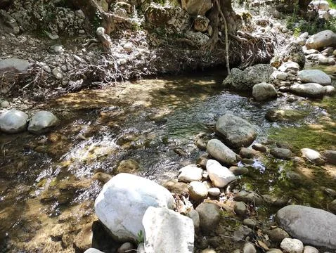 A fast river with clear water flows among the stones Stock Photos