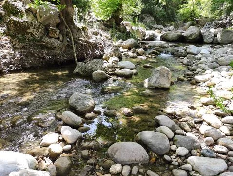 A fast river with clear water flows among the stones Foto stock